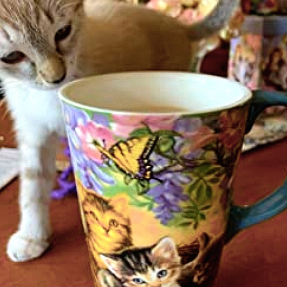 Adorable Travel Cat / Kitten Mug / Tumbler - Picture 6 of 8